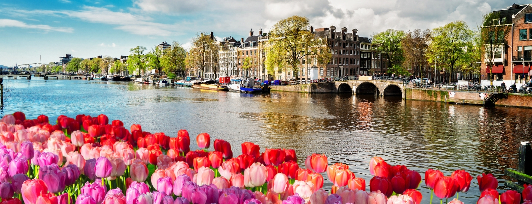 Amsterdam Turu 3 Gece Türk Hava Yolları ile