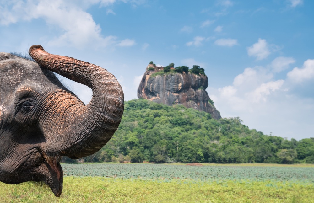 Elegant Sri Lanka Turu Jazeera Hava Yolları İle 5 Gece