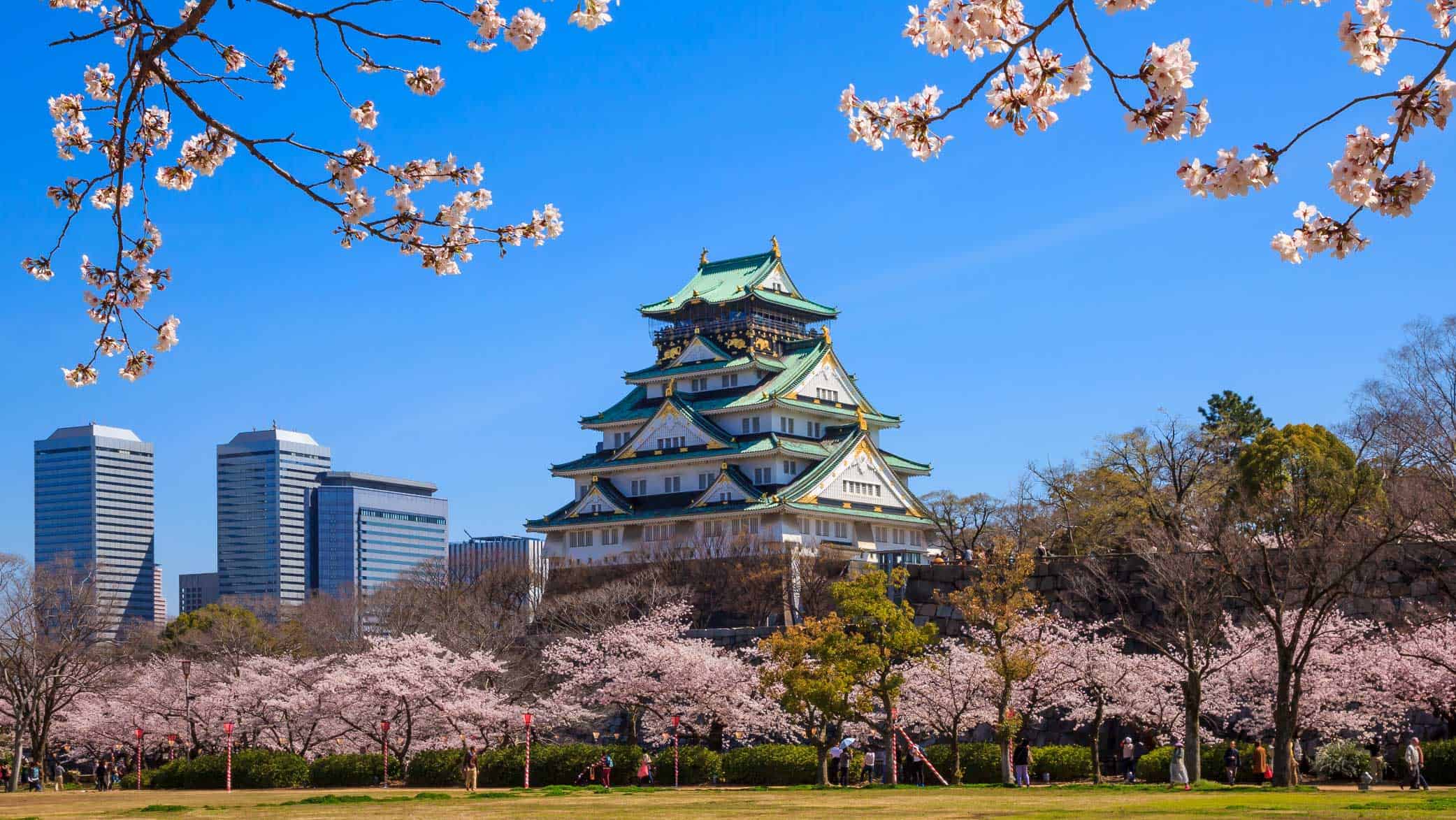 Sakura Dönemi Singapur Havayolları İle Japonya Turu