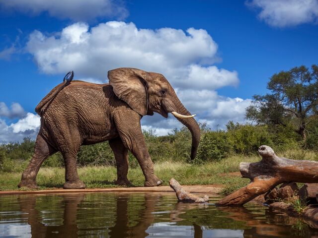 Güney Afrika | 7 Gece | İstanbul Çıkış | THY EUR *