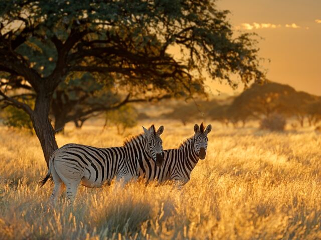 Güney Afrika | 7 Gece | İstanbul Çıkış | THY EUR *