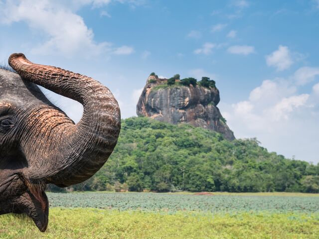 Elegant Sri Lanka Turu Jazeera Hava Yolları İle 5 Gece