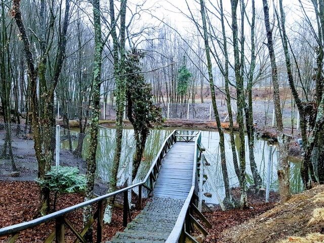 Safranbolu Amasra Abant Turu 1 Gece Otel Konaklamalı İstanbul Çıkışlı
