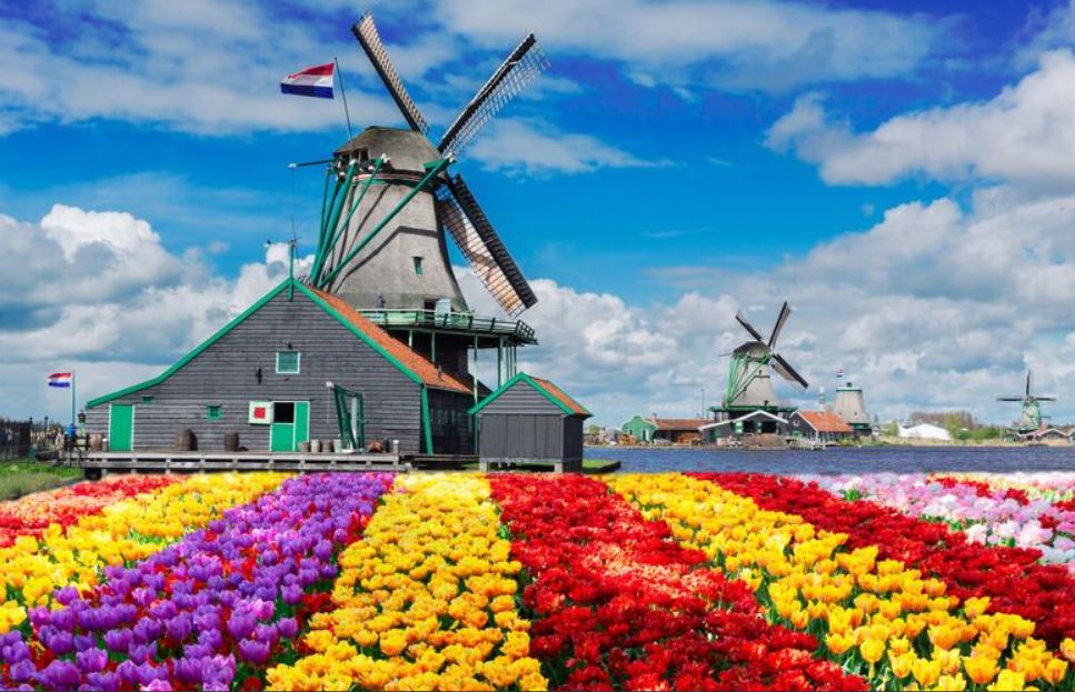 Görkemli Amsterdam Renklerin Şehri  THY ile  Yılbaşı Özel