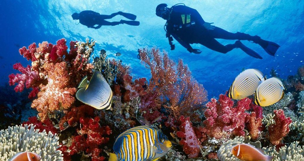 Sharm El Sheikh Turu Ajet ile 4 Gece