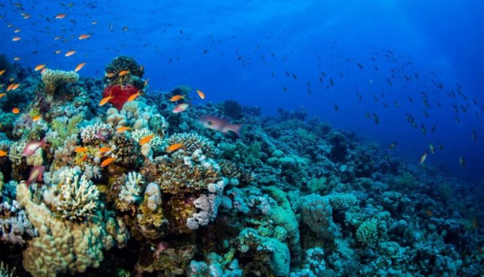 Baştanbaşa Mısır Turları Sharm Kahire Hurgada Ajet ile 7 Gece 8 Gün