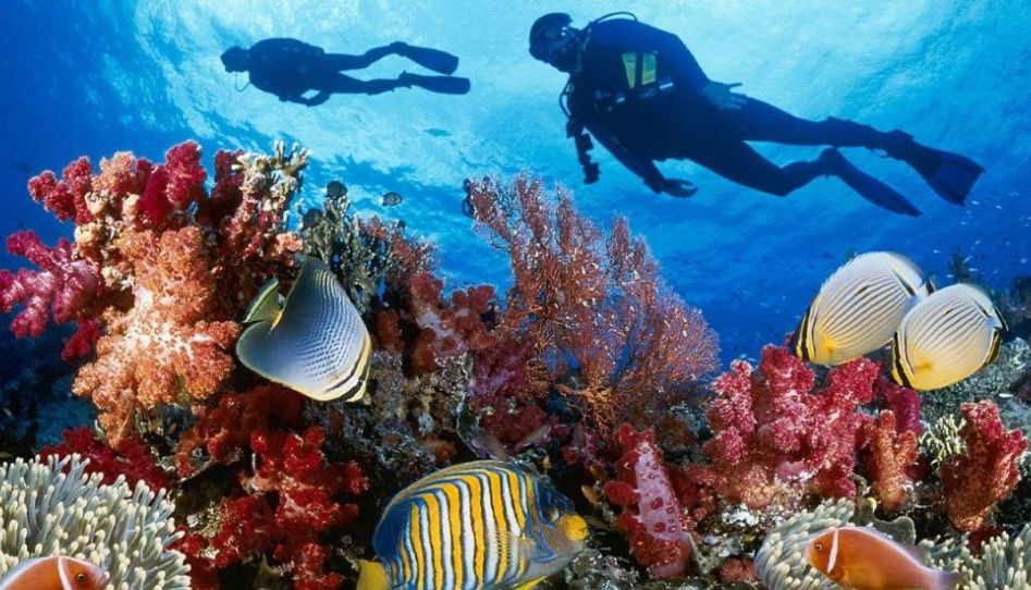 Sharm El Sheikh Turu Ajet ile 3 Gece