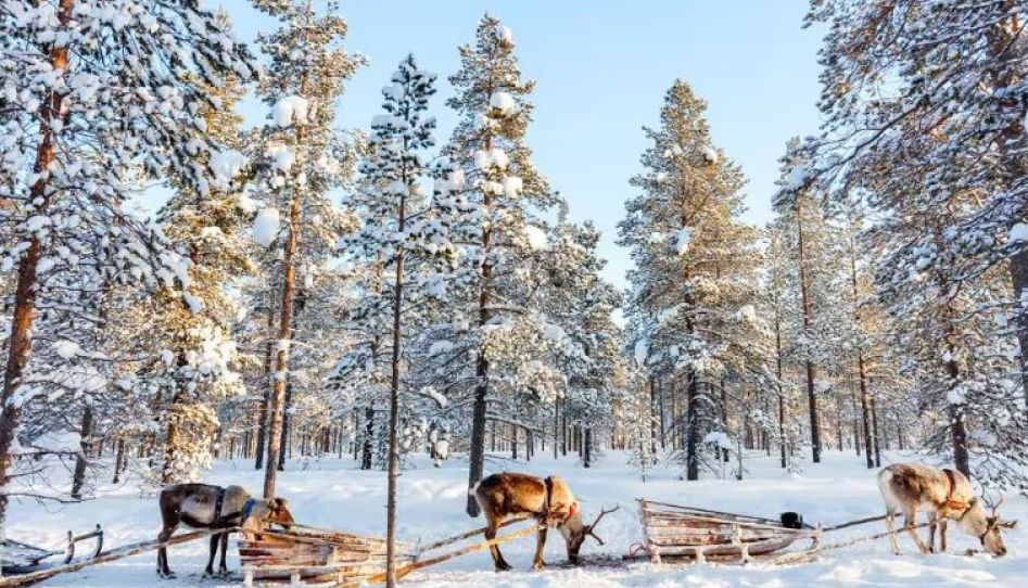 Kuzey Işıkları Lapland Pegasus Hava Yolları Özel Seferi ile 3 Gece RVN - RVN