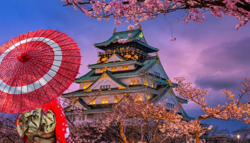 Grand Japonya Disneyland Turu THY